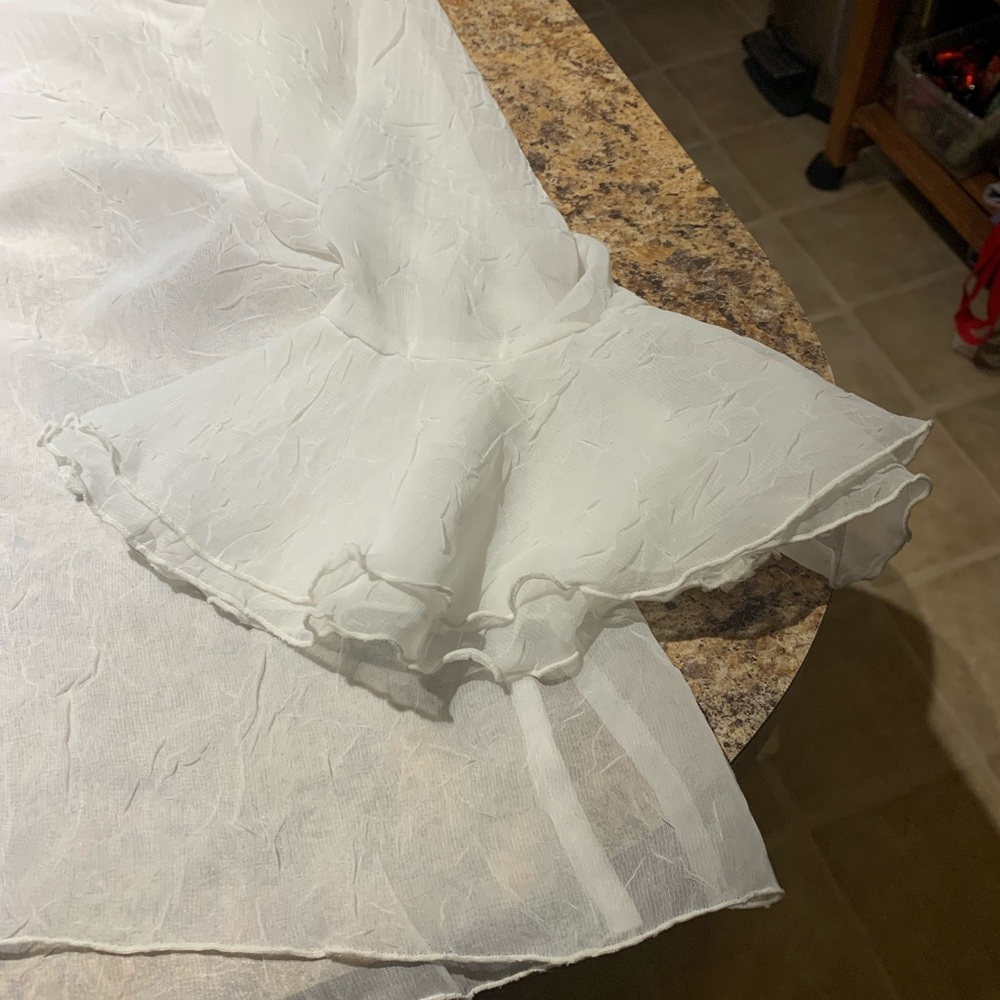 Very Sheer Button Front Plus Size Blouse - image 2